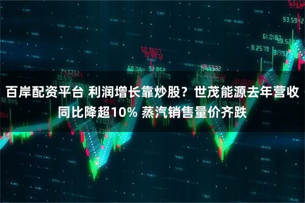 百岸配资平台 利润增长靠炒股？世茂能源去年营收同比降超10% 蒸汽销售量价齐跌