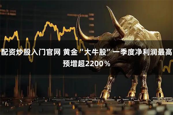 配资炒股入门官网 黄金“大牛股”一季度净利润最高预增超2200％